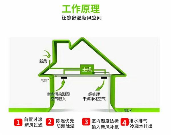 新風除濕系統(tǒng)